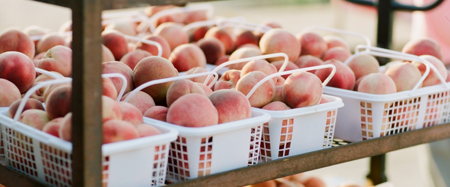 The Sweet Tradition of Southern Peaches