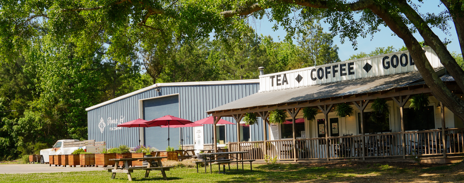Earth Day at Piper & Leaf: Sustainable from Farm to Cup