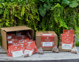 Orchard Peach Case of Individually Wrapped Tea Bags- 50ct